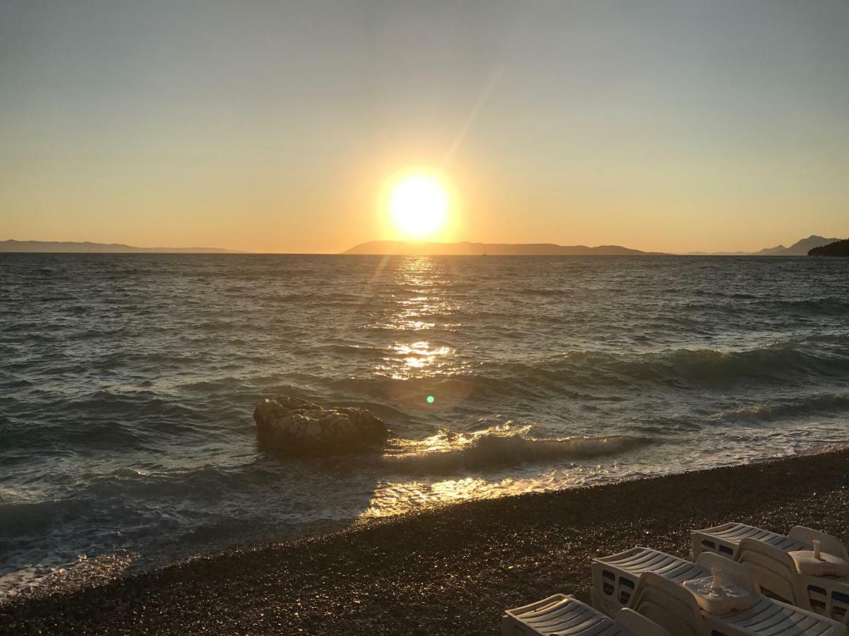 Villa Viden Apartments Tučepi Eksteriør bilde